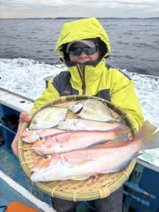 カイワリ・アマダイ(アカアマダイ)