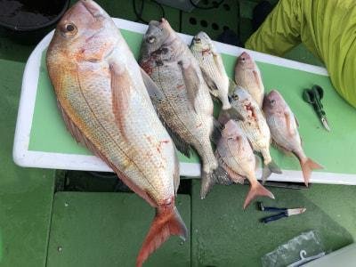 マダイ・クロダイ