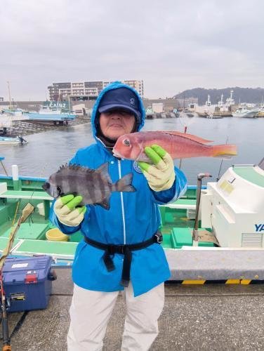 イシダイ・アマダイ(アカアマダイ)