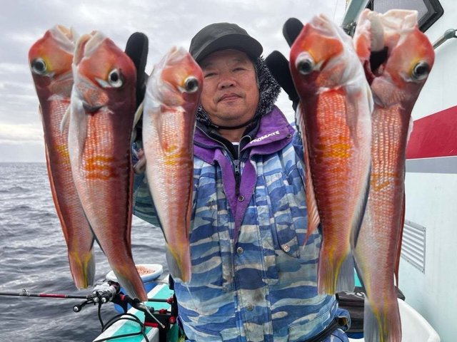 アマダイ(アカアマダイ)