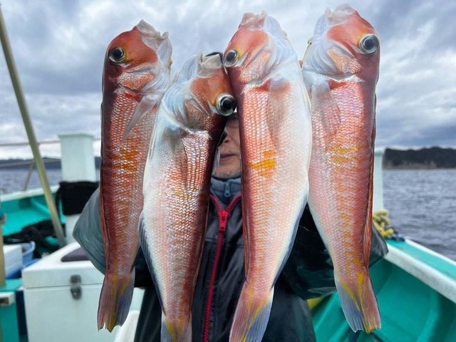 アマダイ(アカアマダイ)