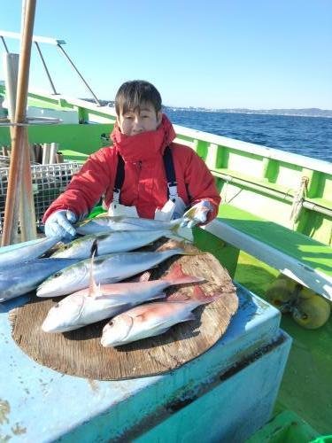 マダイ・イナダ(ブリ)