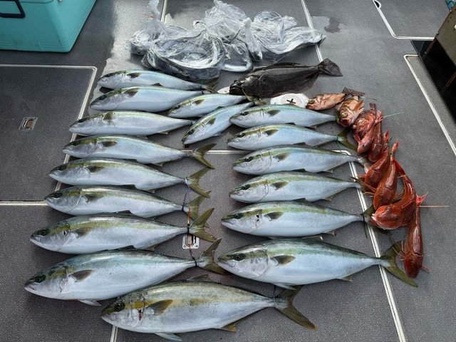 ハマチ(ブリ)・カサゴ・ヒラメ