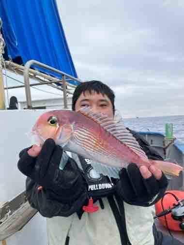 アマダイ(アカアマダイ)