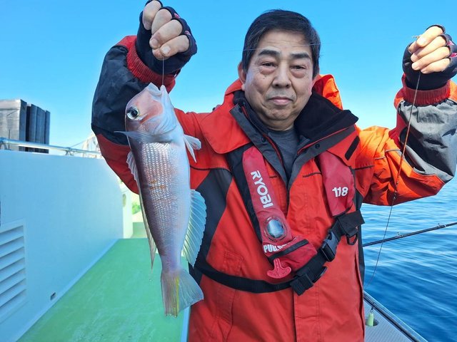 アマダイ(アカアマダイ)