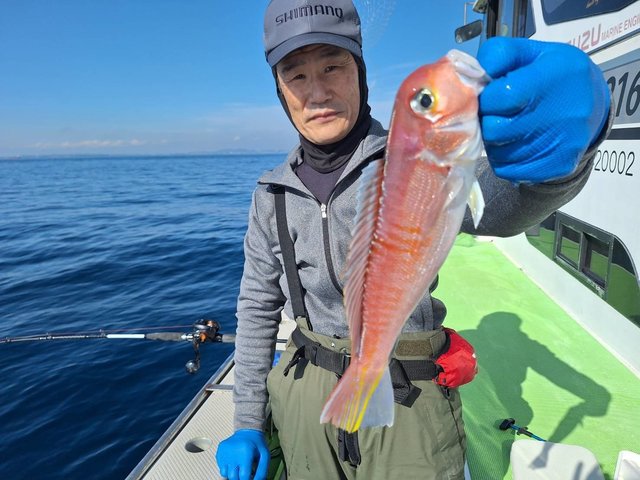 アマダイ(アカアマダイ)