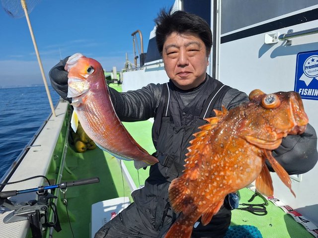 アマダイ(アカアマダイ)