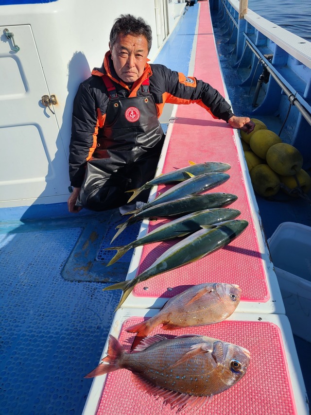 マダイ・イナダ(ブリ)