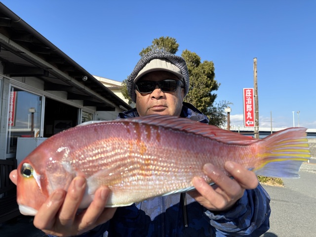 アマダイ(アカアマダイ)