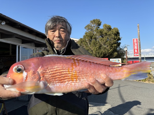 アマダイ(アカアマダイ)