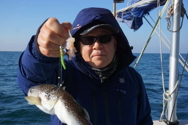 ショウサイフグ