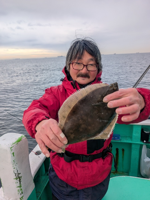 カレイ(マコガレイ)