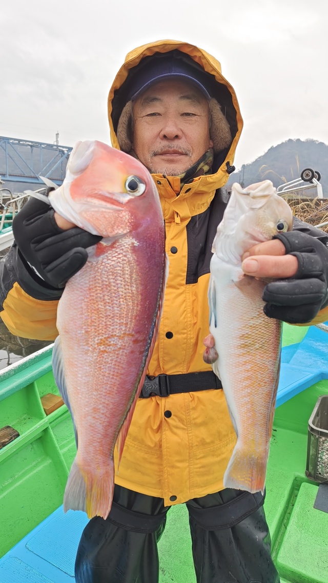 アマダイ(アカアマダイ)