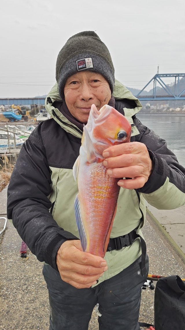 アマダイ(アカアマダイ)