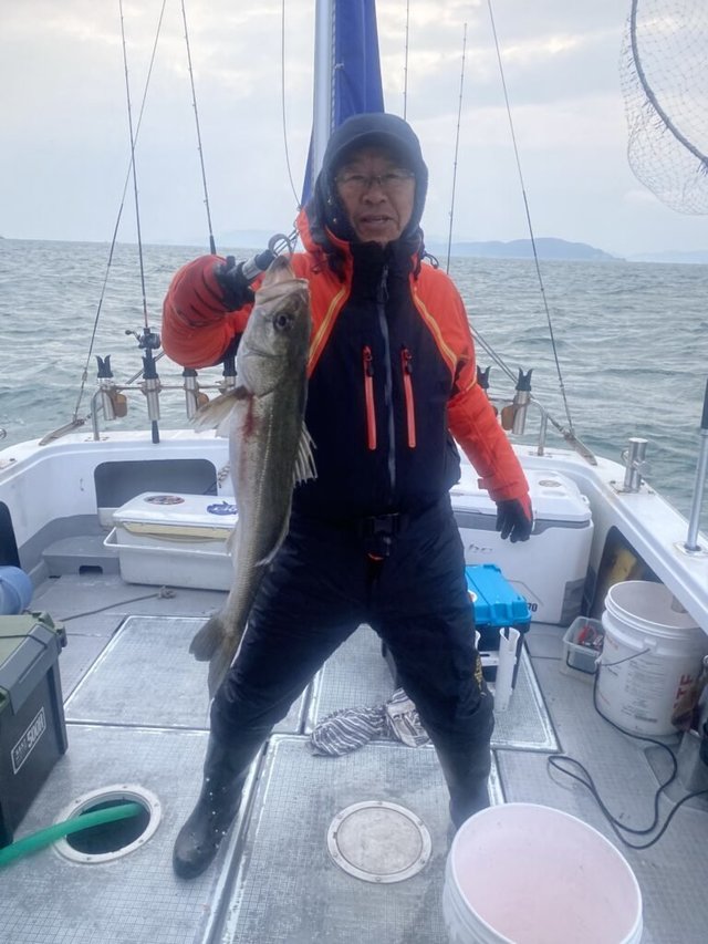 シーバス(スズキ)