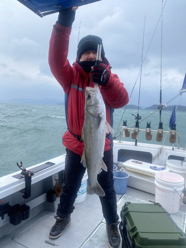 シーバス(スズキ)