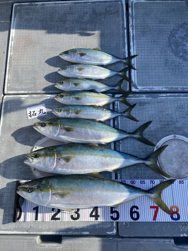 ブリ・ハマチ(ブリ)・メジロ(ブリ)