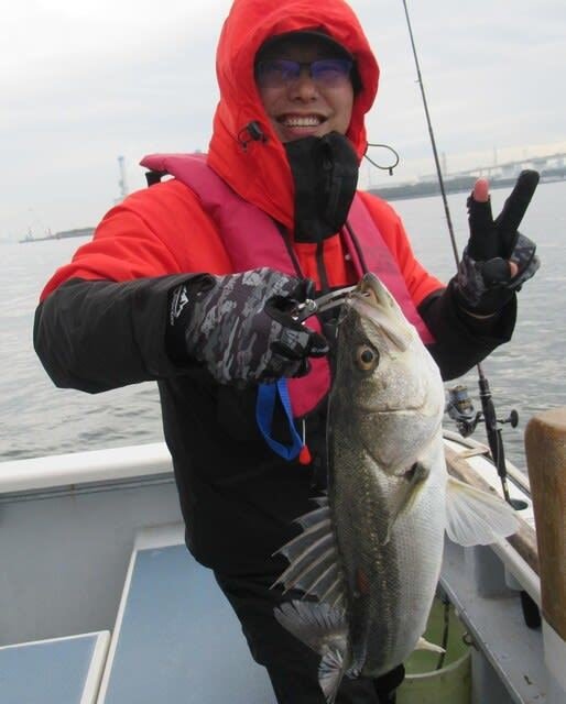 シーバス(スズキ)