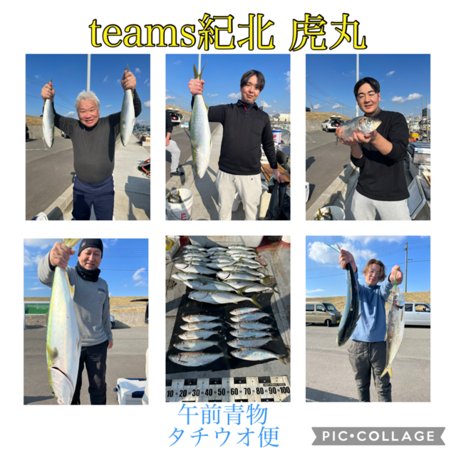 ブリ・ハマチ(ブリ)・メジロ(ブリ)・ヒラ