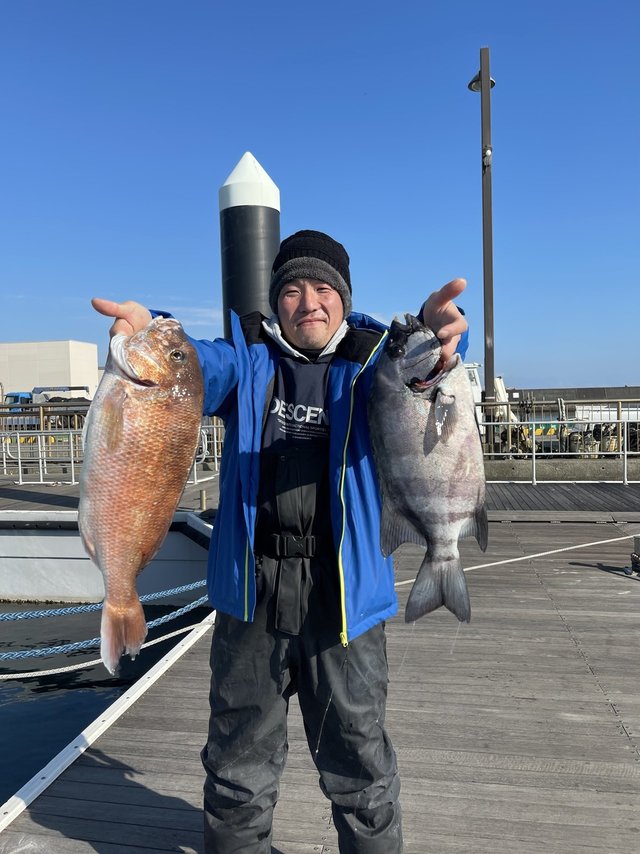 マダイ・イシダイ