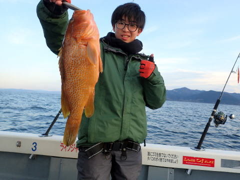 アコウ(キジハタ)