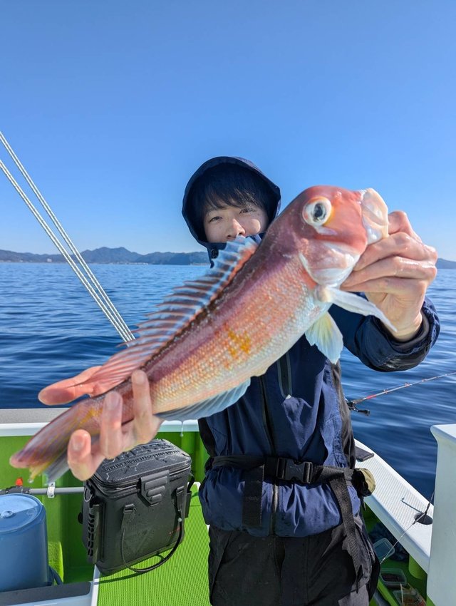 アマダイ(アカアマダイ)