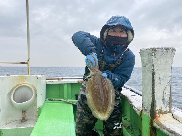 モンゴウ(カミナリイカ)