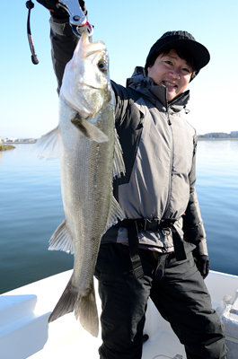 シーバス(スズキ)