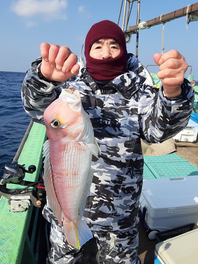 アマダイ(アカアマダイ)