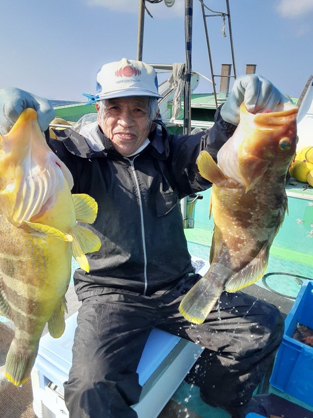 アオナ(アオハタ)