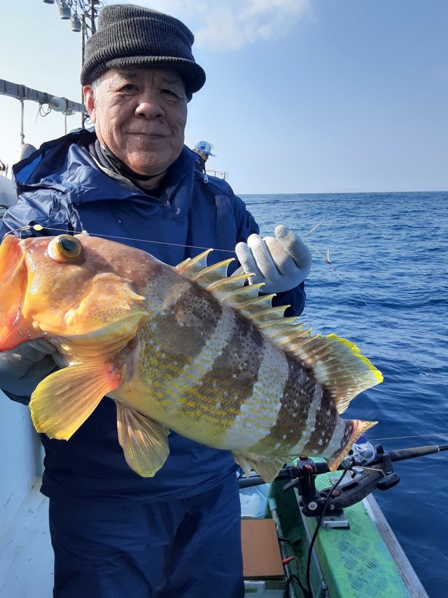 アオナ(アオハタ)