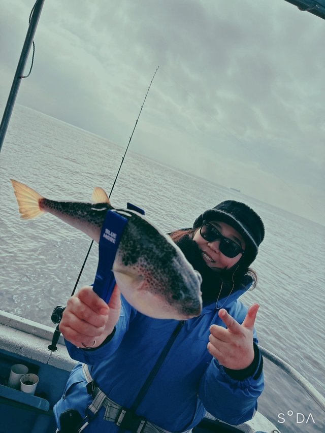 フグ(ショウサイフグ)