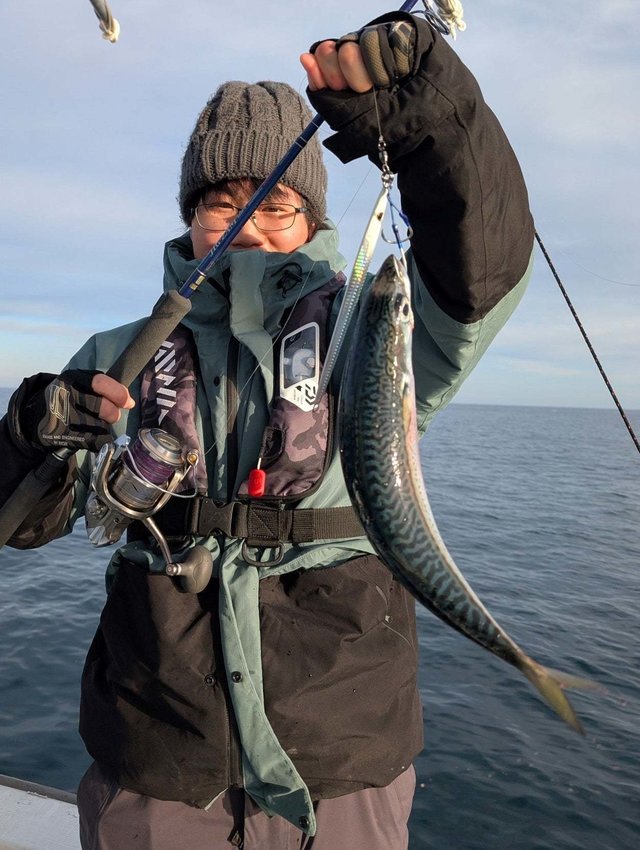 サバ(ゴマサバ)