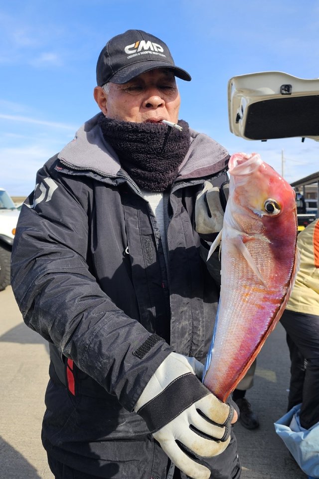 アマダイ(アカアマダイ)