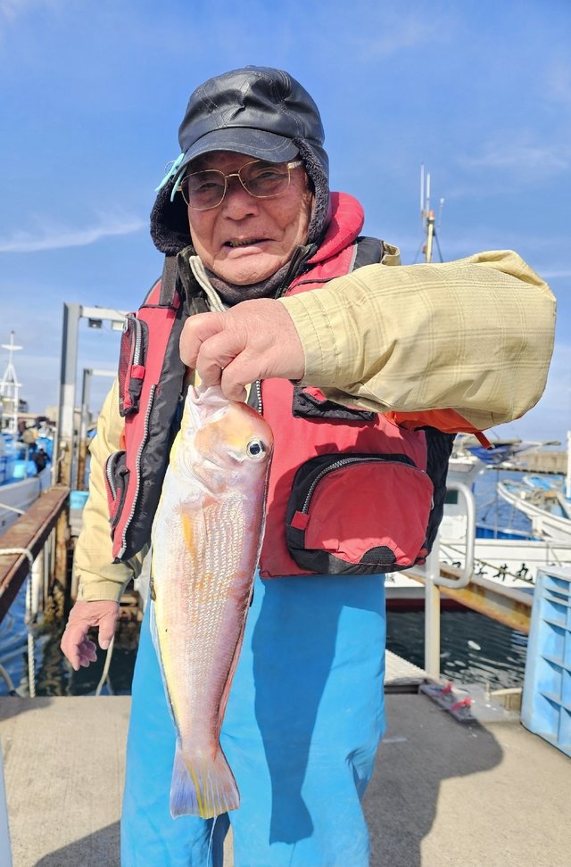 アマダイ(アカアマダイ)