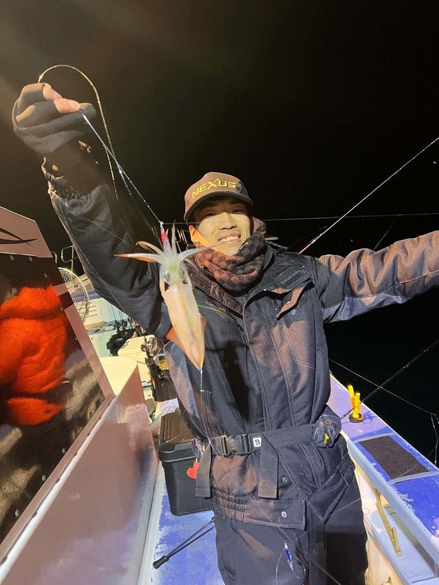 マルイカ(ケンサキイカ)