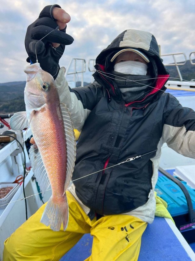 アマダイ(アカアマダイ)