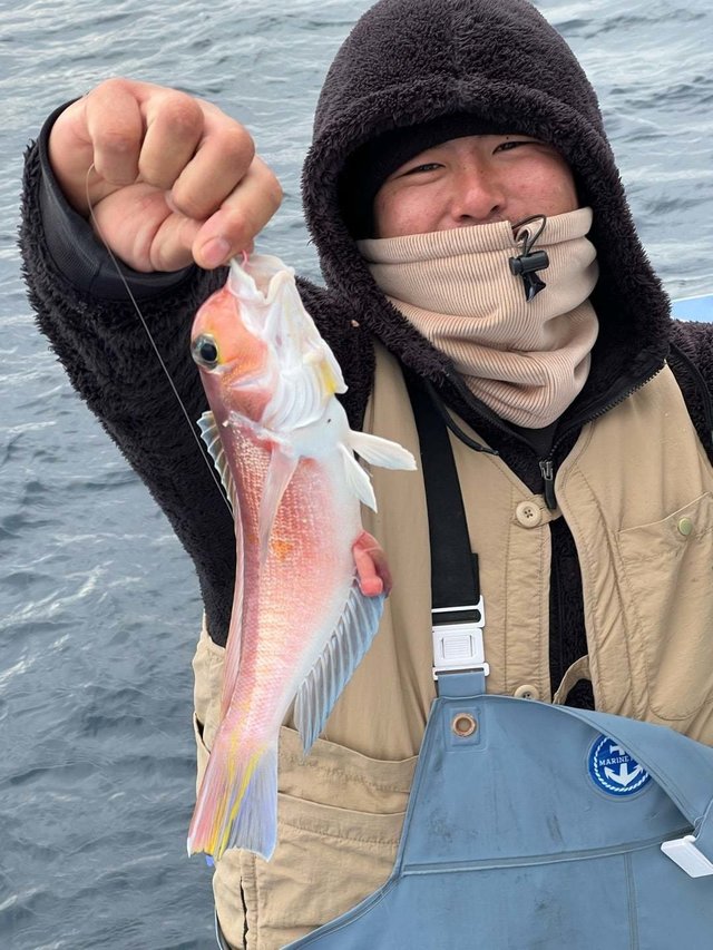 アマダイ(アカアマダイ)