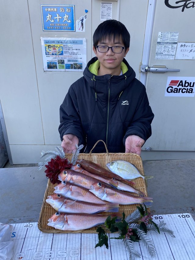 カイワリ・アマダイ(アカアマダイ)