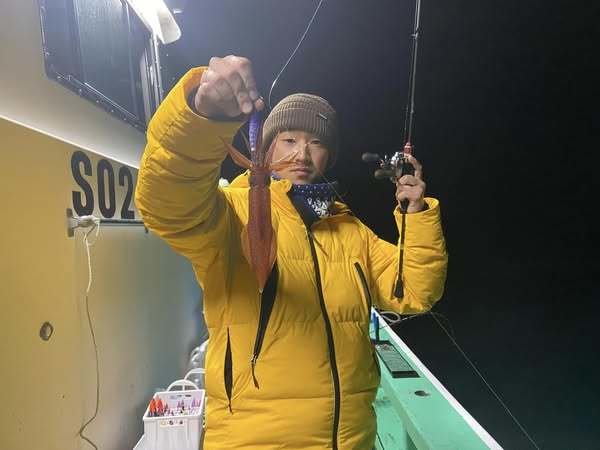 マルイカ(ケンサキイカ)