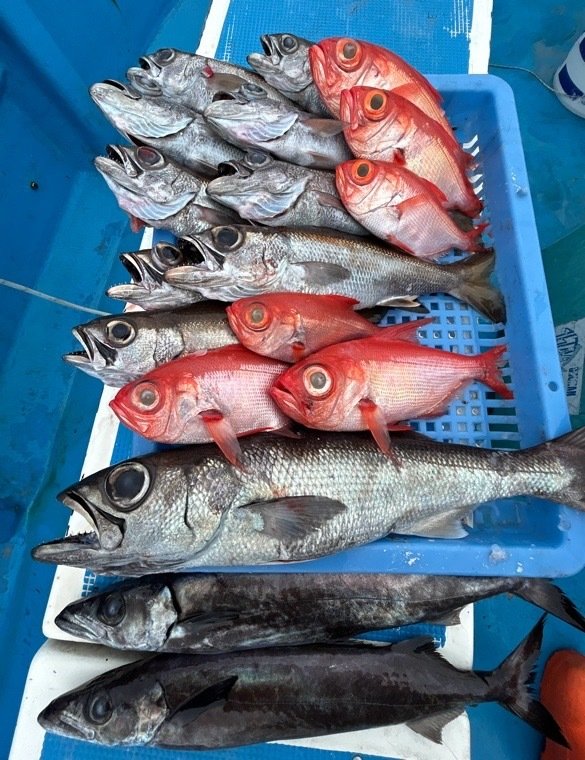 クロムツ・スミヤキ(クロシビカマス)・キンメダイ