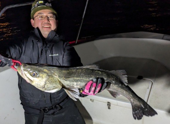 シーバス(スズキ)