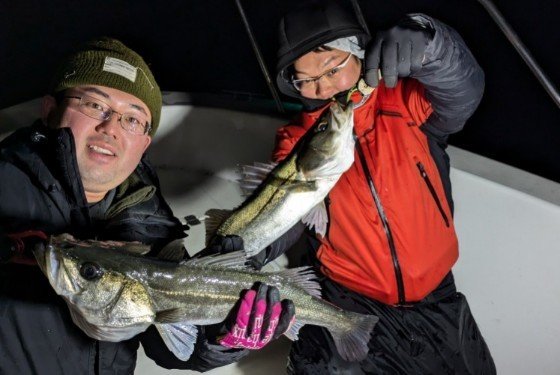 シーバス(スズキ)