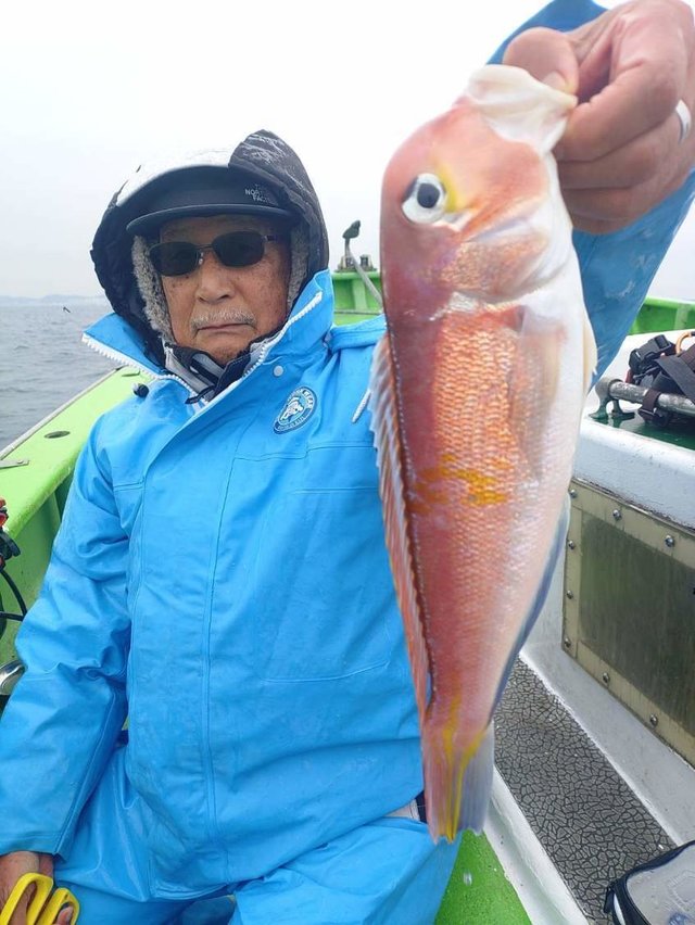 アマダイ(アカアマダイ)