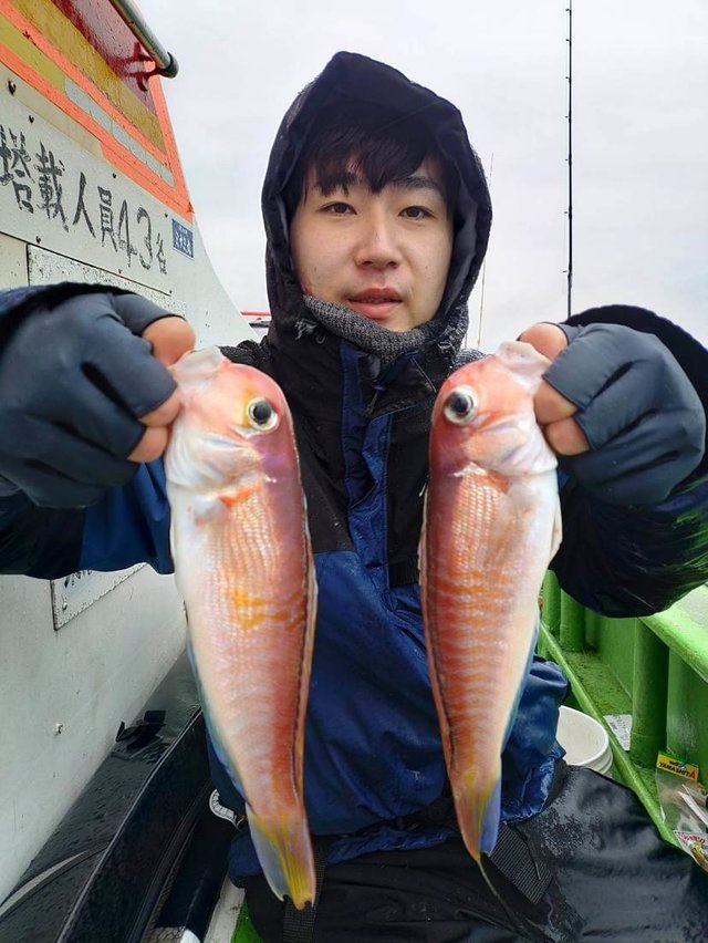 アマダイ(アカアマダイ)