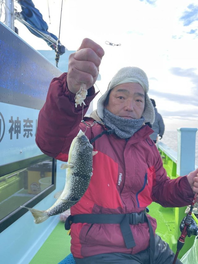 フグ(ショウサイフグ)