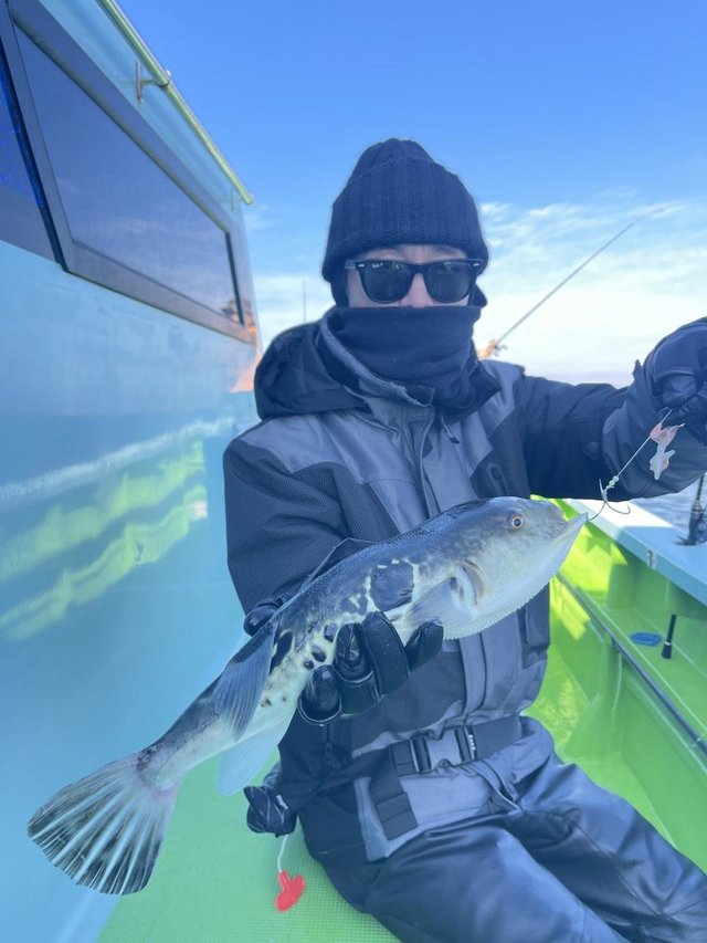 フグ(トラフグ)