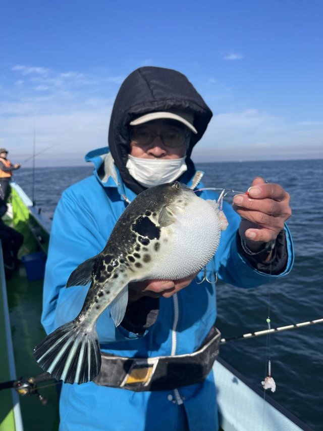 フグ(トラフグ)