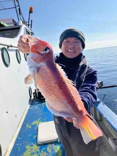 アマダイ(アカアマダイ)