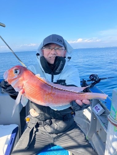 アマダイ(アカアマダイ)